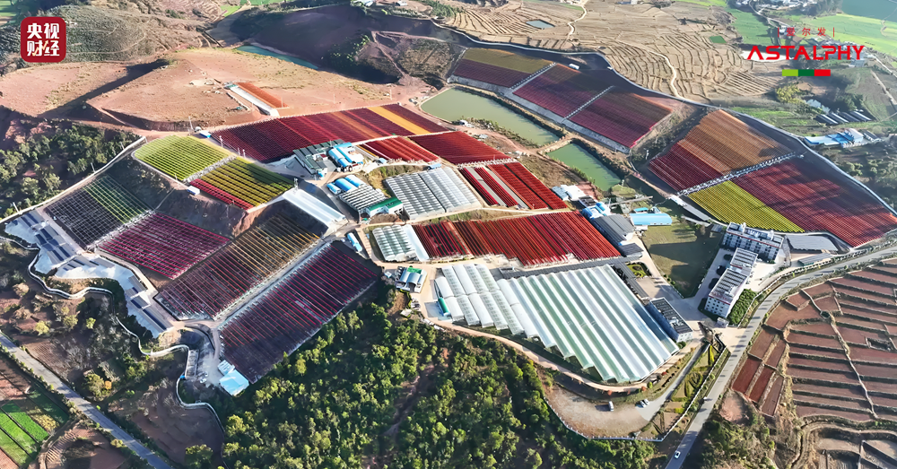 1754290406806716.png RUhnHp.png