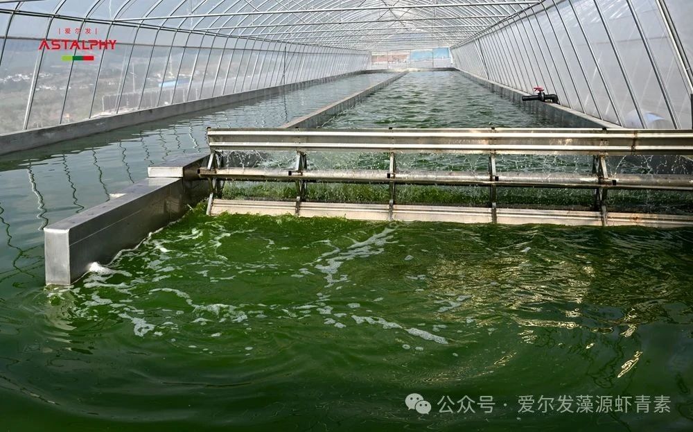 1754358125289173.jpg 微信图片_2025-08-05_094104_592.jpg