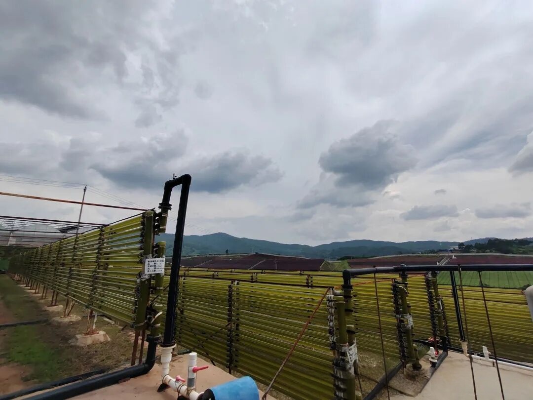 1756950017743158.jpg 微信图片_2025-09-04_092953_849.jpg