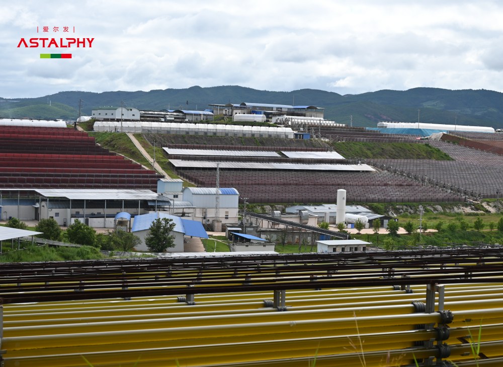 1757468408365856.jpg DSC_1244_副本.jpg