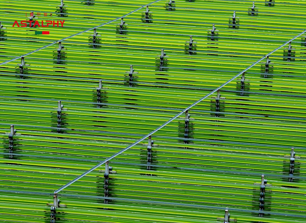 1757468448706108.jpg jXUxiV_副本.jpg