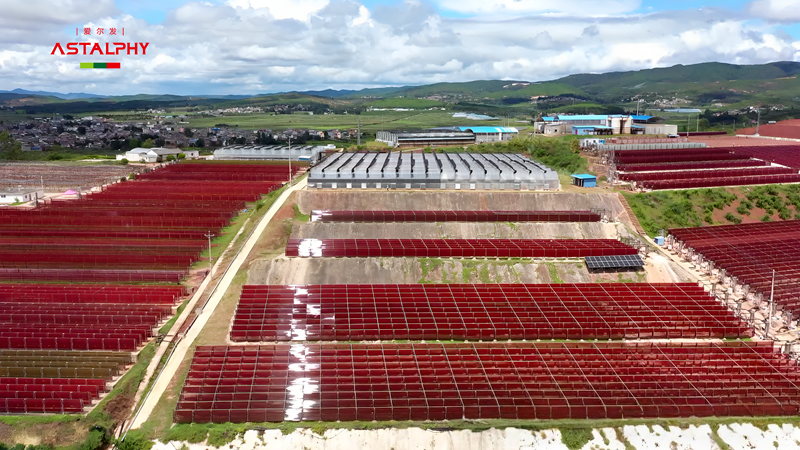 1758505715747505.png 微信图片_2025-09-18_094528_265_副本.png