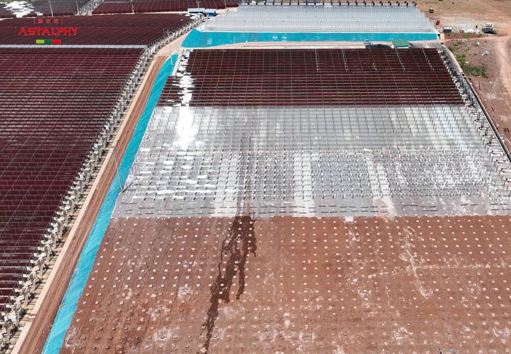 1758937866137581.jpg 272.jpg