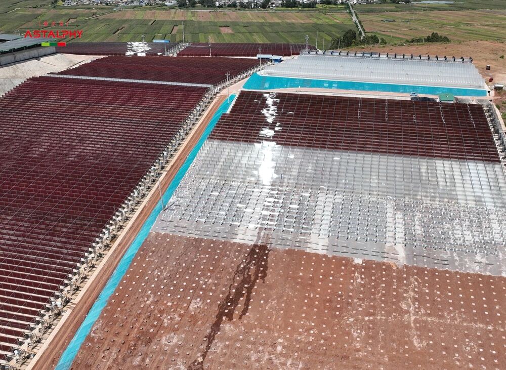 1758937883347008.jpg 273.jpg