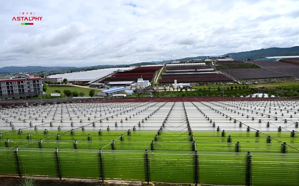 1759110588768504.jpg 9282.jpg