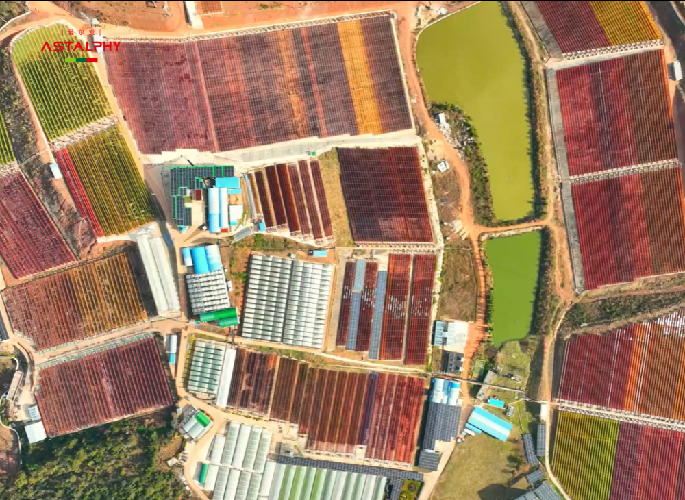 1760061424111043.png RIjdpQ.png