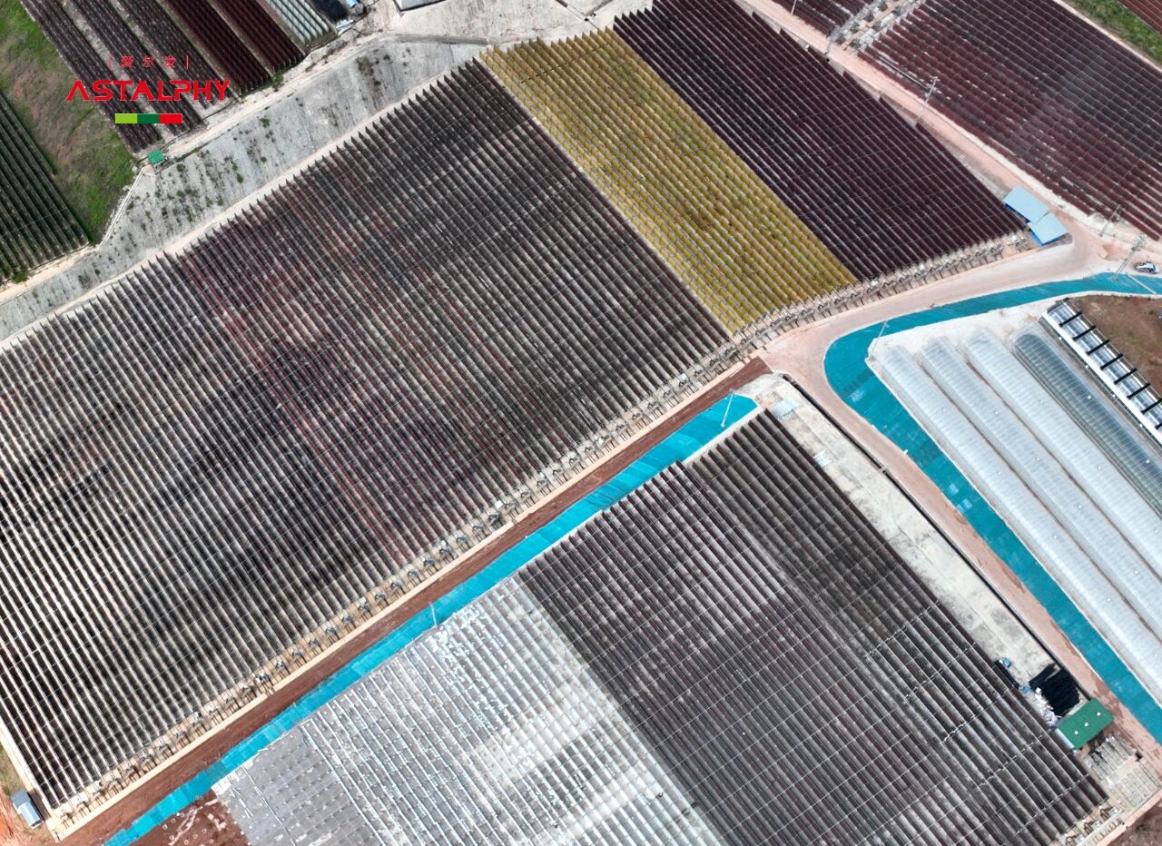 1760580606628307.jpg 3.jpg