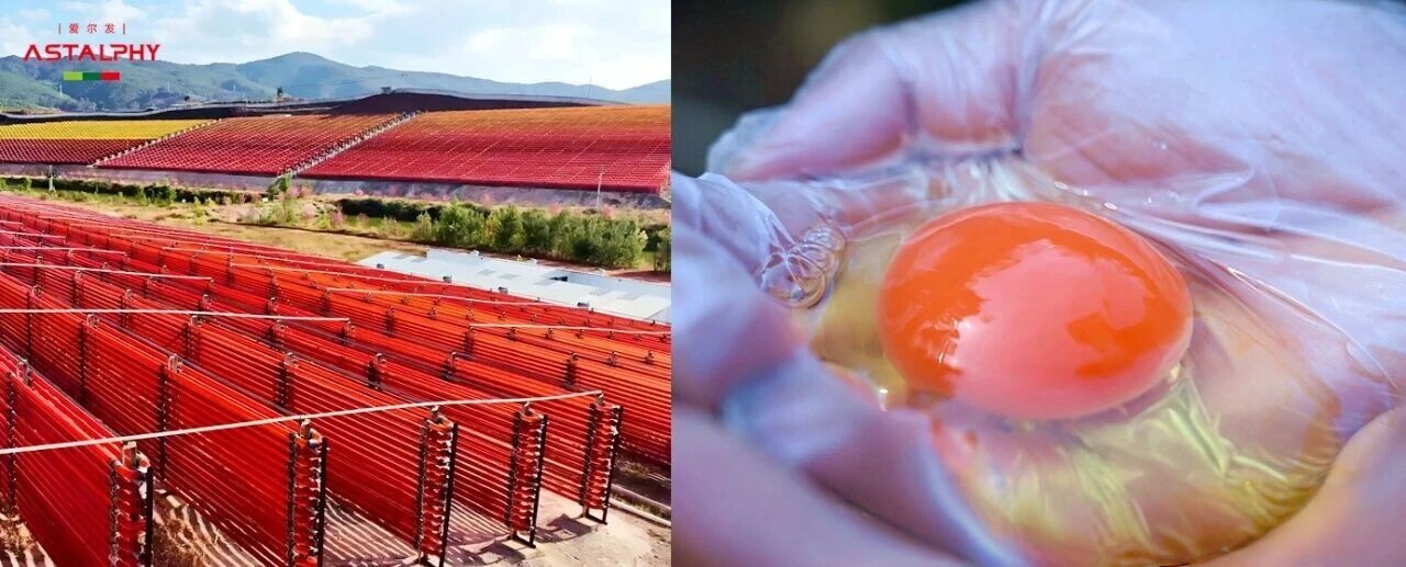 1761356284118651.jpg 微信图片_2025-10-25_092851_848.jpg