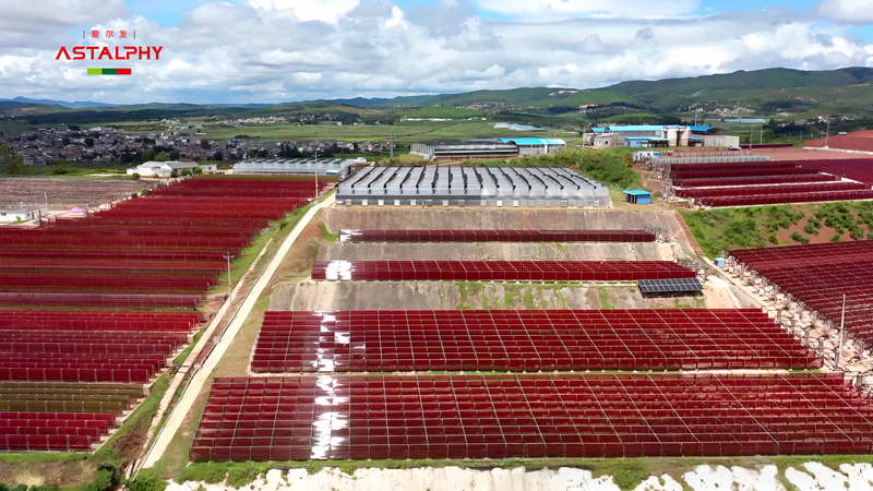 1761356478398474.png 微信图片_2025-10-25_092814_210.png