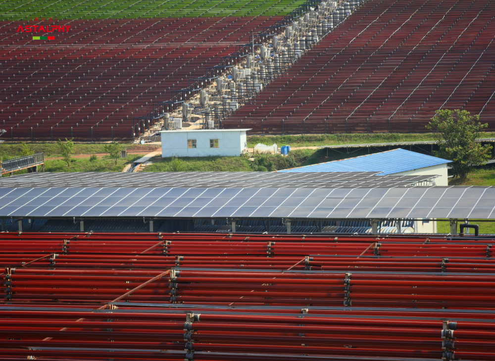 1763949866107243.png WVIKMm.png