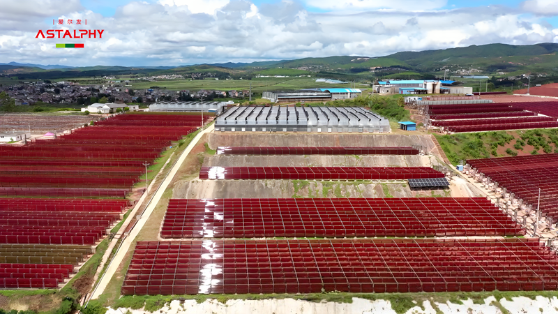 1764297853479460.png 图片2.png