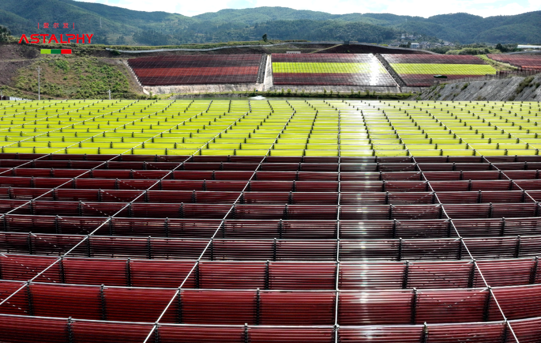 1764297896205691.png 图片4.png