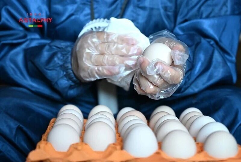 1764559562131092.jpg 微信图片_2025-12-01_102125_025.jpg