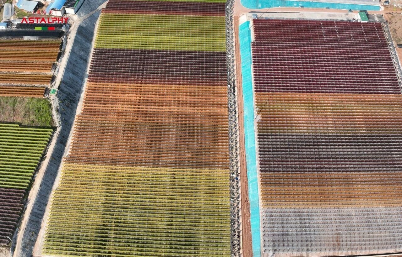 1764725640117136.jpg 微信图片_2025-12-03_092249_260.jpg