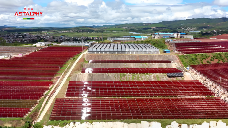 1764899676172170.png 微信图片_2025-12-05_094653_087.png