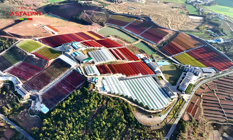 1766971951314261.jpg 微信图片_2025-12-29_092537_842.jpg