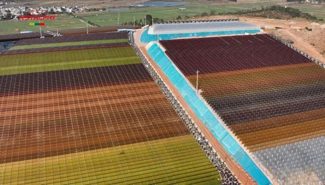 1767147280511518.jpg 微信图片_2025-12-31_094635_222.jpg