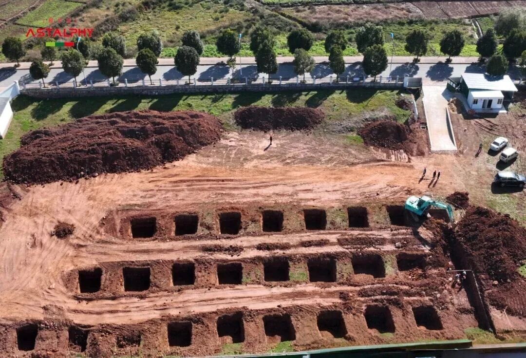 1767147333101456.jpg 微信图片_2025-12-31_094643_076.jpg