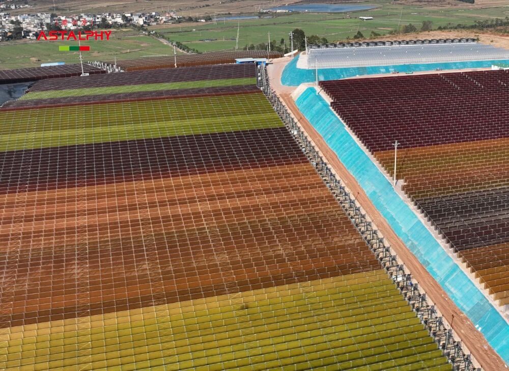 1767662417636956.jpg 微信图片_2026-01-06_091200_450.jpg