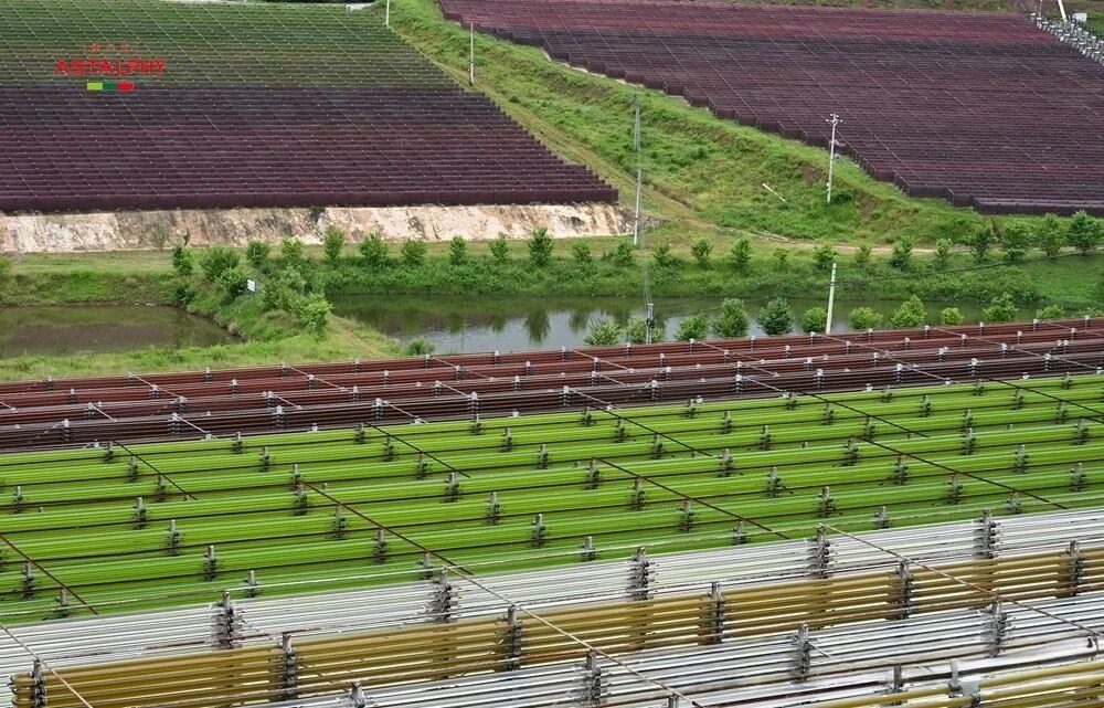 1767927791460138.jpg 微信图片_2026-01-09_105900_207.jpg