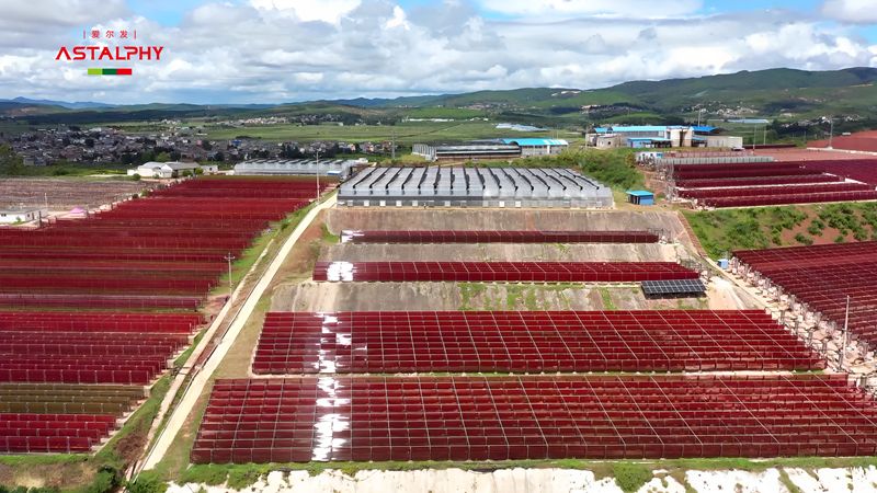 1770600489456136.png 微信图片_2026-02-09_092022_331.png