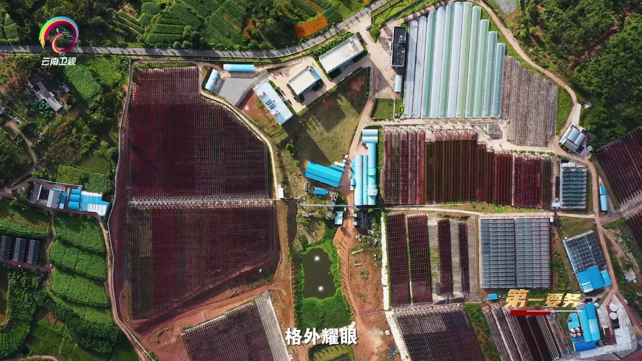 爱尔发虾青素的五大核心优势