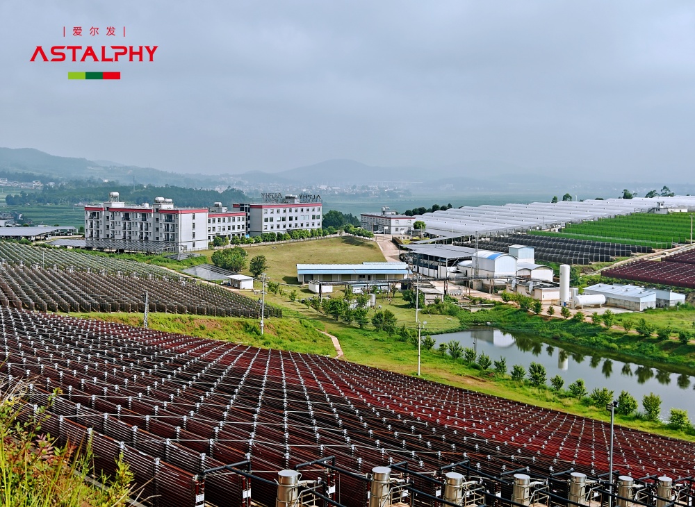 虾青素，到底是什么？