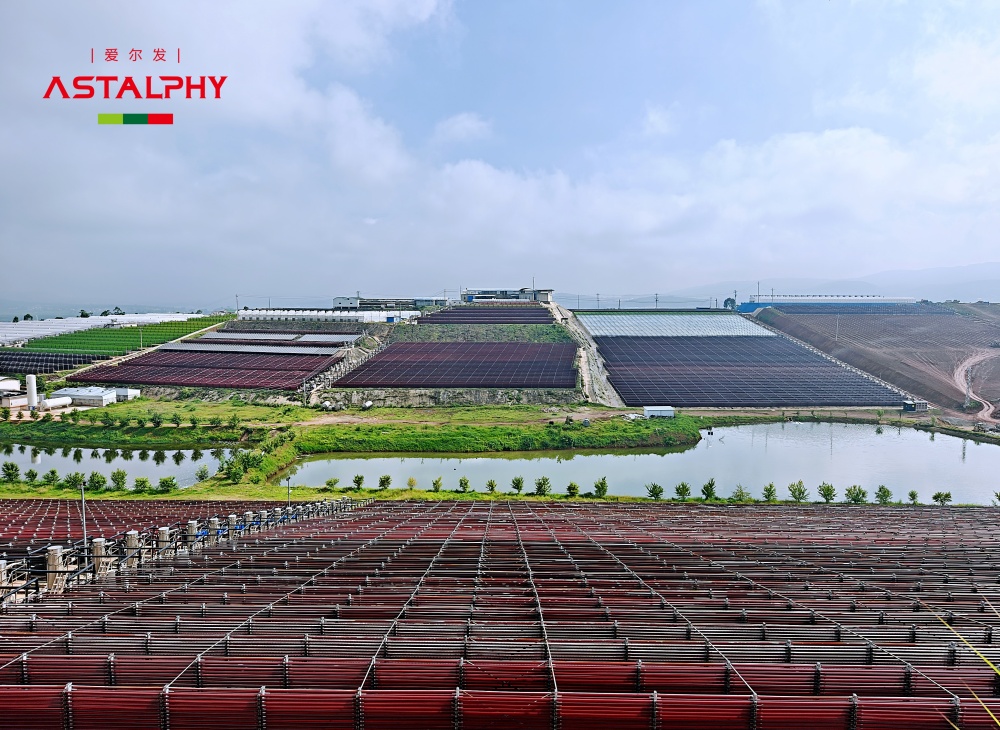 专利 | 爱尔发——用于红藻球培养基地的太阳能和风能电解水制氢的装置