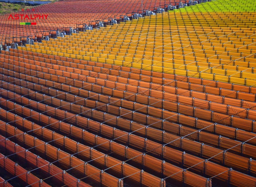 虾青素：把自然的修护力吃进生活