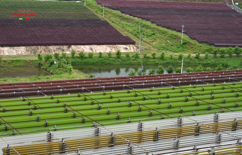 喜讯！云南爱尔发再次入选2025年 “绿色云品”品牌目录