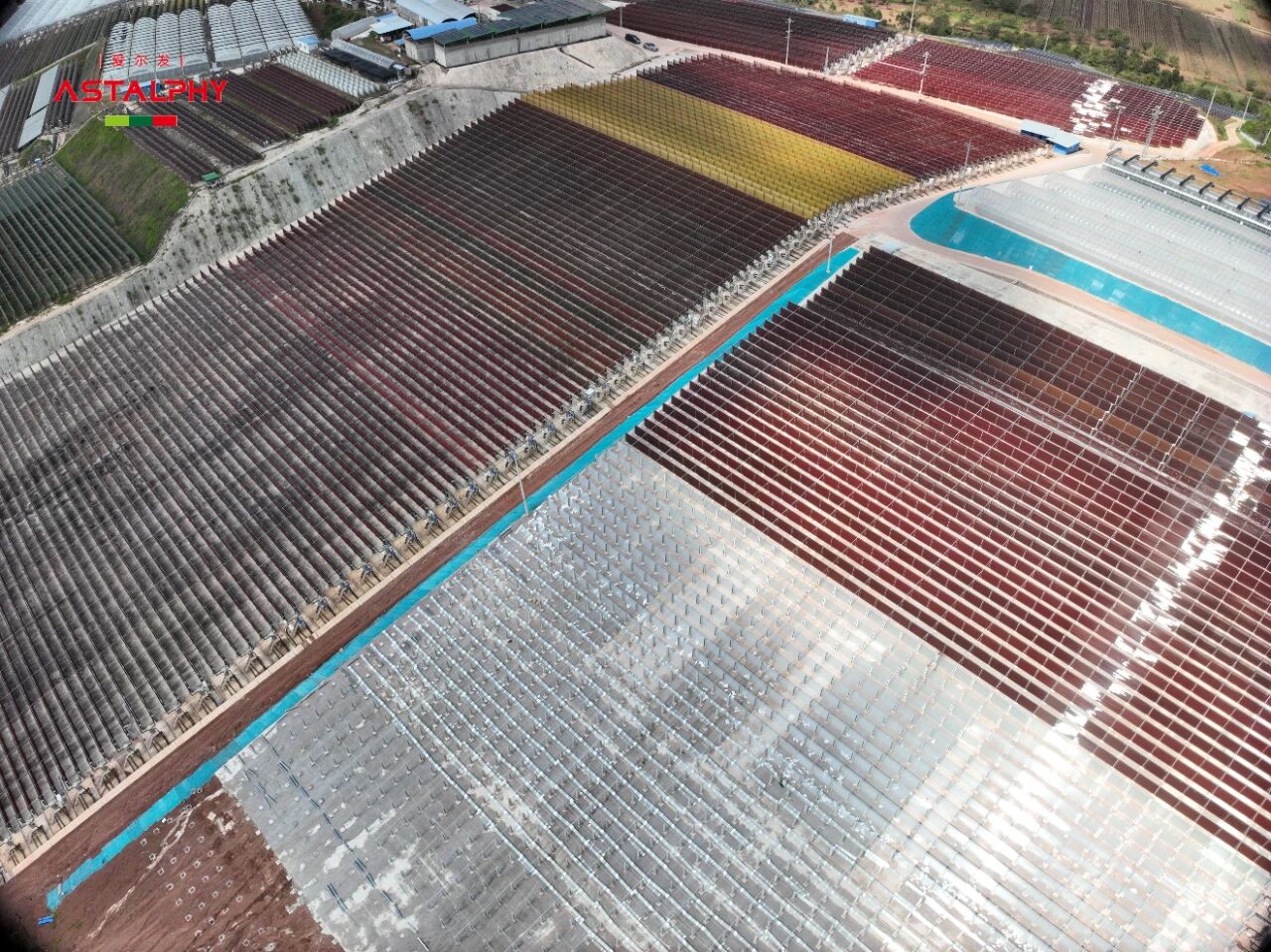 扩建区纪实 | 俯瞰爱尔发 雨生红球藻基地…