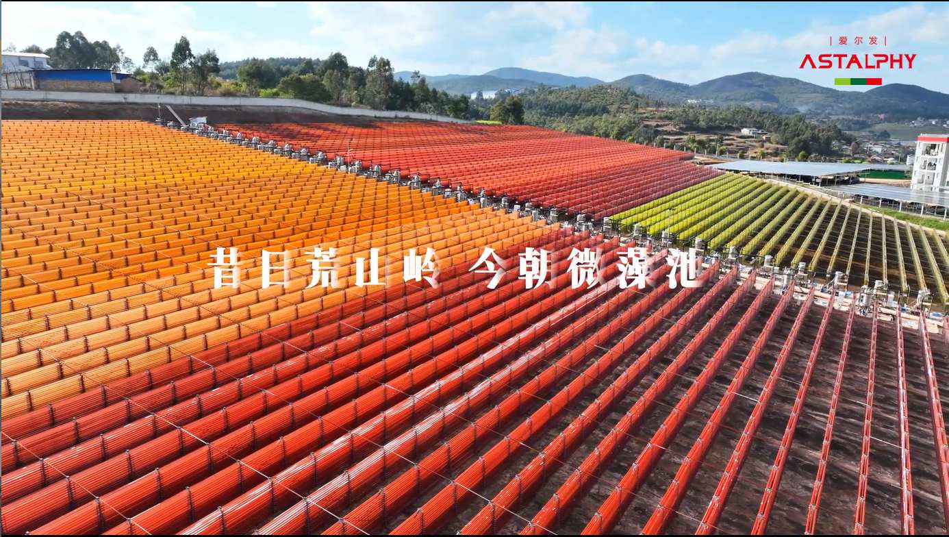 云南日报：爱尔发生产的系列产品成为海内外虾青素领域的知名品牌