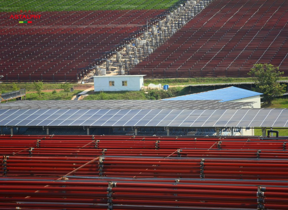 号称&ldquo;抗氧化之王&rdquo;的虾青素到底行不行？我们为什么需要抗氧化？