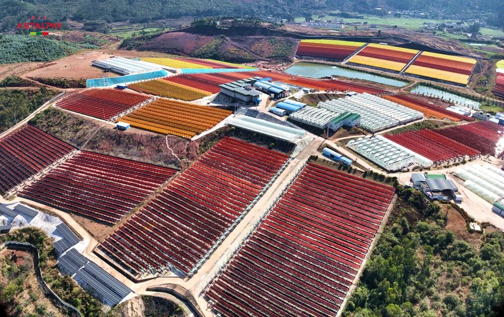 春分调养基础状态，虾青素与你温柔相伴