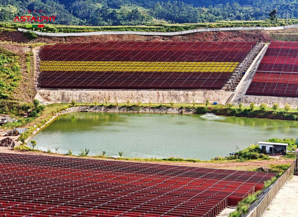 藻源虾青素：引领大健康产业新潮流